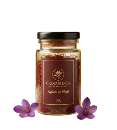 IMG-20251012-WA0026-removebg-preview