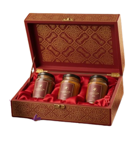 IMG-20251012-WA0027-removebg-preview