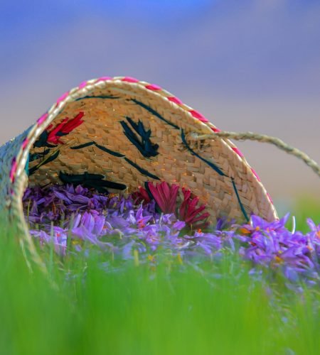 benyamin-bohlouli-GePyFdWCnQU-unsplash