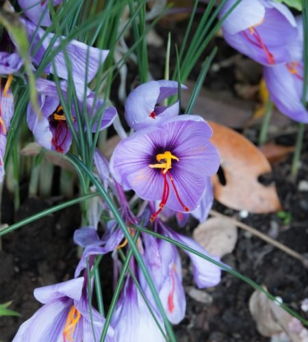 lorenzo-lamonica-H04v99PTcxI-unsplash